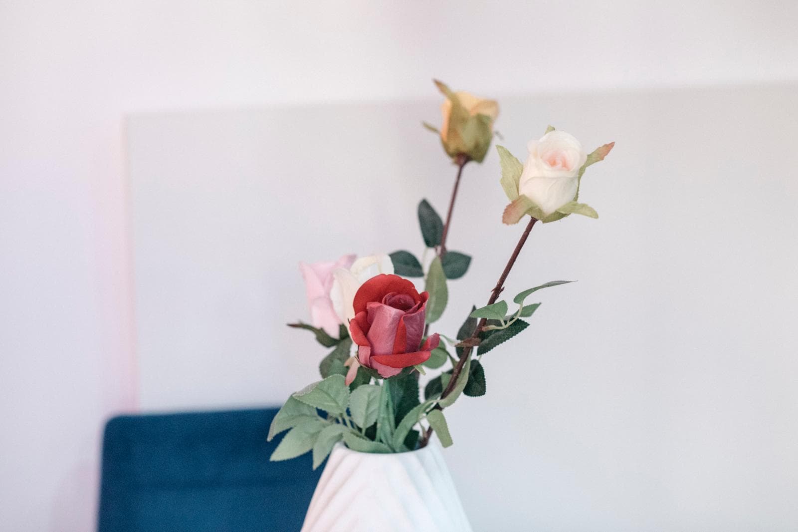 Piso la Plana II - Thumbnail 11